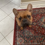 Entry image for Cherry