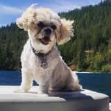 Entry image for Jax Attack