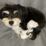 Entry image for Gina