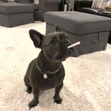 Entry image for Chief 