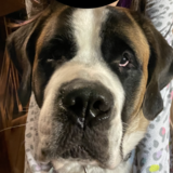 Entry image for Fenway