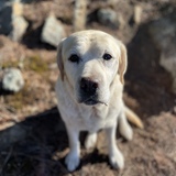 Entry image for Claire Barron