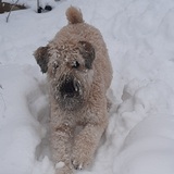 Entry image for Liebe