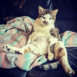 Entry image for Stash