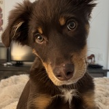 Entry image for Wally