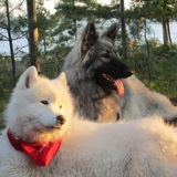 Entry image for Mya and Thea - BFF’s