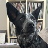 Entry image for Maggie