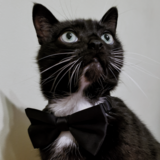 Entry image for Boots