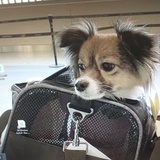 Entry image for River