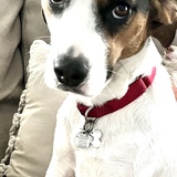 Entry image for Libby