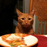 Entry image for Timone