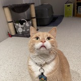 Entry image for Dwight 