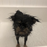 Entry image for Osman