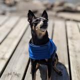 Entry image for Morgan 