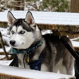 Entry image for Eska