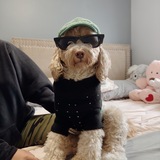 Entry image for Cody