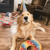 Entry image for Kelvin