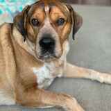 Entry image for Tyler