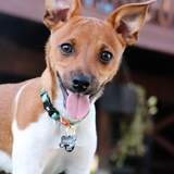 Entry image for Hank