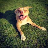 Entry image for Macey Mae