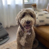 Entry image for Quincy