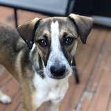 Entry image for Milly