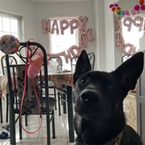 Entry image for Pepper 