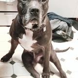 Entry image for Gary