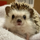 Entry image for Mortimer 