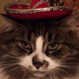 Entry image for Lucy