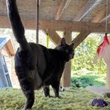 Entry image for Dude 