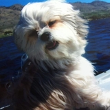 Entry image for Miss Tucker