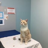 Entry image for Tucker Emmanuel 