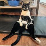 Entry image for Clancy