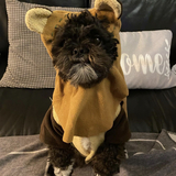 Entry image for Meeko