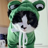 Entry image for Jinx monsor aka BooBiee