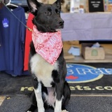 Entry image for Millie