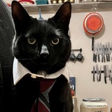 Entry image for J. Moishe Burnside 