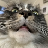 Entry image for Onyx 