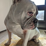 Entry image for Rukgus