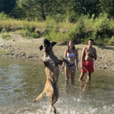 Entry image for Athena 