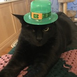 Entry image for Floyd