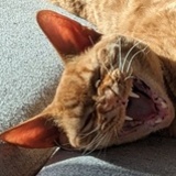 Entry image for Petyr