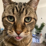 Entry image for Quinnlen