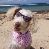 Entry image for Callie 