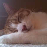 Entry image for Jericho