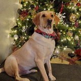 Entry image for Jake 