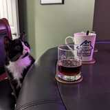 Entry image for Gizmo