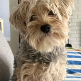 Entry image for Kyoto