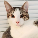 Entry image for Timothy